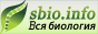 sbio